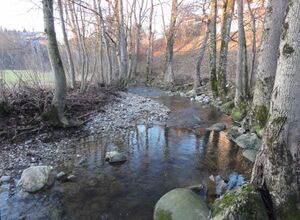 Steinbach (Neumarkt am Wallersee).jpg