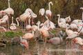 Tierpark Robert Scheck 01.jpg