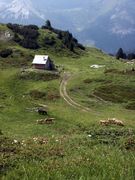 Twenger alm 18298 2003-07-01.jpg