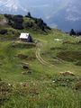 Twenger alm 18298 2003-07-01.jpg