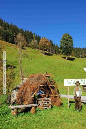 2011 10 15 Filzmoos Bauernherbst 02.jpg