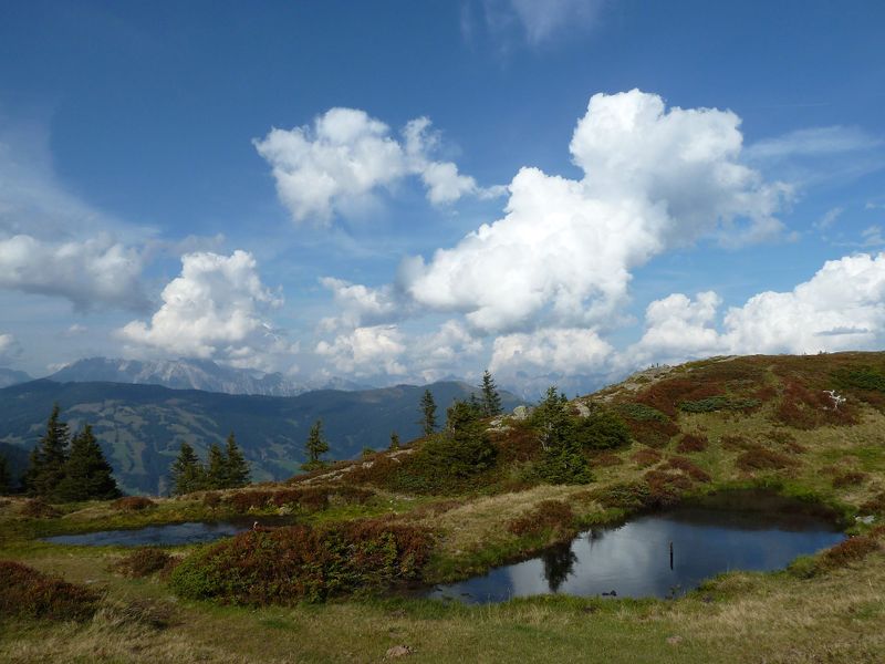 Datei:Am Pinzgauer Spaziergang 11.jpg