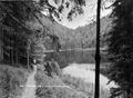 Eibensee Risch-Lau 02.jpg