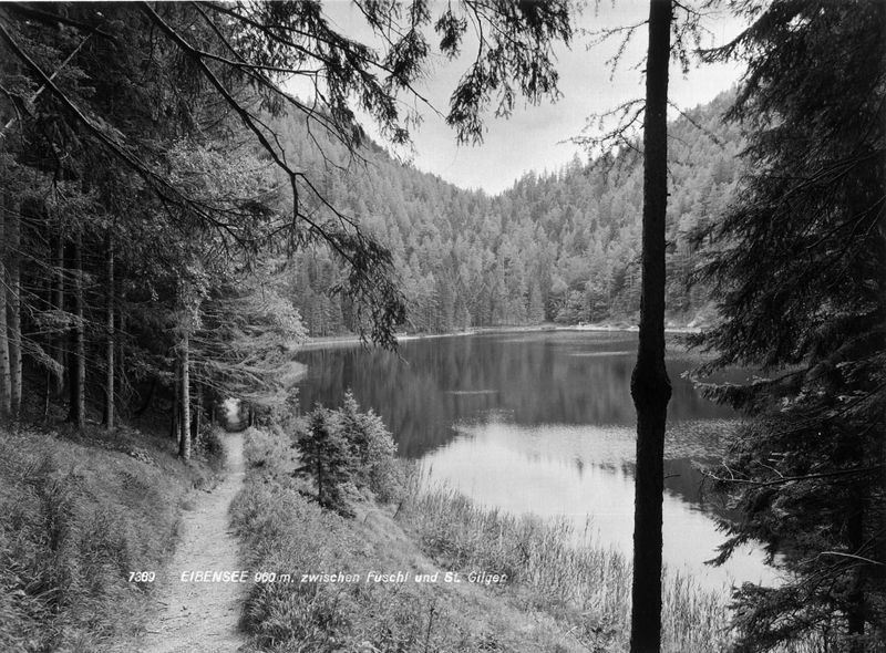 Datei:Eibensee Risch-Lau 02.jpg