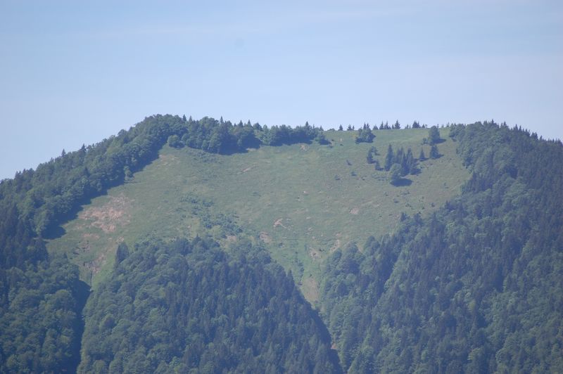 Datei:Filbling, Gipfelansicht nordseitig.jpg