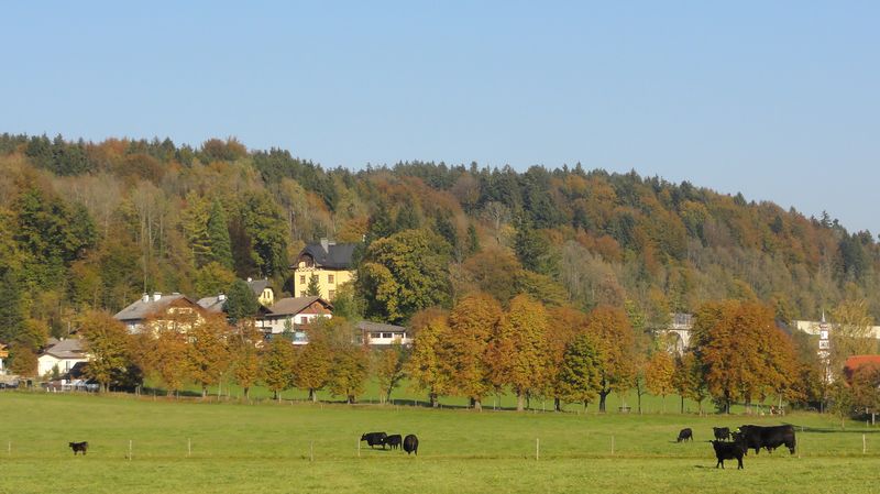 Datei:Nicolaus-Gaertner-Allee und Gaertnervilla.jpg