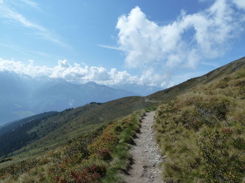 Datei:Pinzgauer Spaziergang, unterhalb Gernkogel.jpg