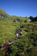 Wirpitschbach tiefenbachsee 63638 2016-07-10.jpg