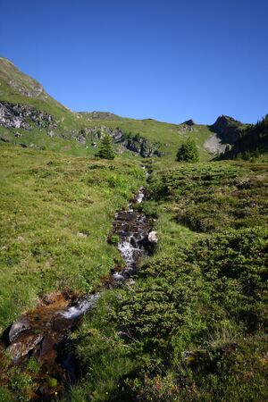 Wirpitschbach tiefenbachsee 63638 2016-07-10.jpg
