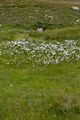 Windsfeld-17-2022-07-14.jpg