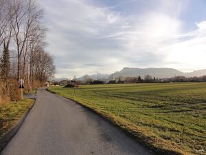 Fischergasse in Richtung Süden.JPG