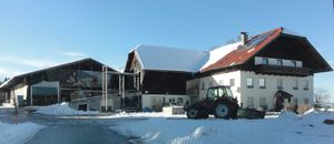 Heinischberggut oberhalb von Rappenwang.jpg