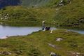 Krummschnabelsee obertauern 30929 2016-08-04.jpg