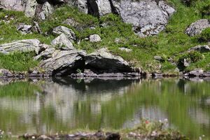 Lacken weißpriach 29528 2016-07-10.jpg