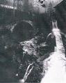 Römerbrücke Taugl Vigaun.jpg