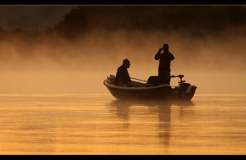 Datei:Wallersee Morgennebel.jpg