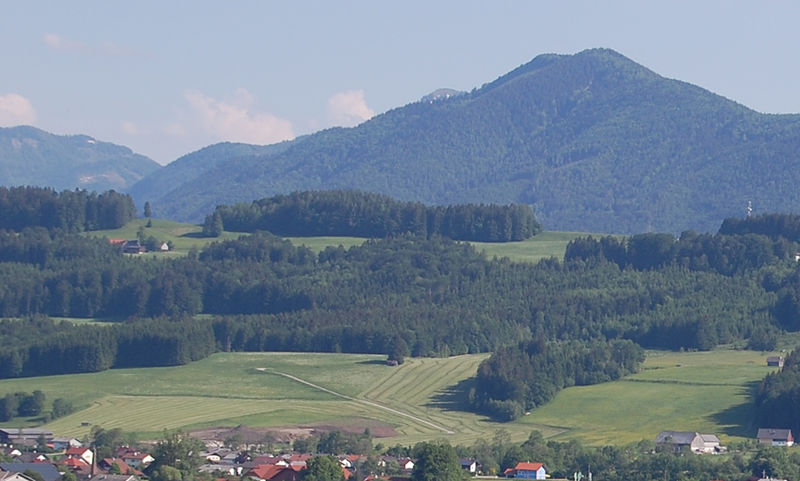 Datei:Bürstling DSC 0091.jpg