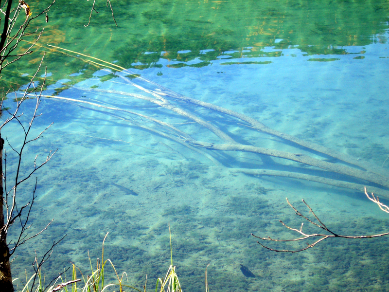 Datei:Kleinarl-Jägersee-12.png