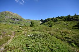 Wirpitschalm 29820 2016-07-10.jpg