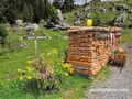 2013 08 27 Filzmoos Hofalm 01.jpg
