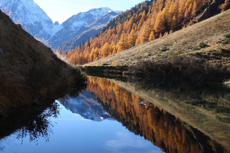 Datei:Kühseelein 18501 2011-11-01.jpg