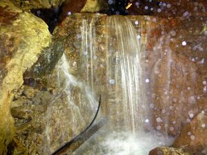 Lamprechtshöhle 8.jpg