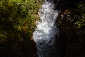 Tennfall-0140-2022-07-14.jpg