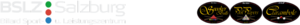 Blz logo.png