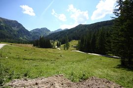 Forstautal, hinteres 63714 2013-07-23.jpg