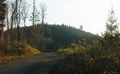 Haunsbergweg.jpg