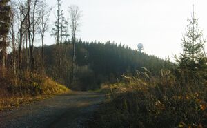 Haunsbergweg.jpg