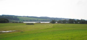 Seeuferlandschaft in Obertrum.jpg