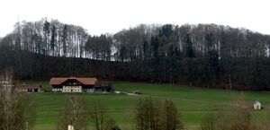 Weingartengut in Sam, Ansicht von Mayrwies.jpg
