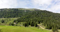 Blick zur Auerhütte.jpg