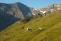 Gleiwitzer Huette Hoher Tenn.jpg