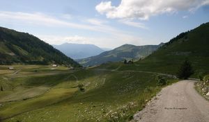 Hintertrattberg, Weg zur Moosangerlalm.jpg