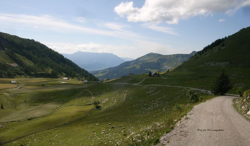 Datei:Hintertrattberg, Weg zur Moosangerlalm.jpg