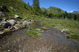 Lacken weißpriach 29517 2016-07-10.jpg