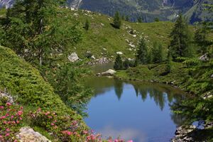 Lacken weißpriach 29527 2016-07-10.jpg