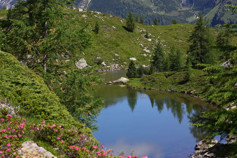 Datei:Lacken weißpriach 29527 2016-07-10.jpg
