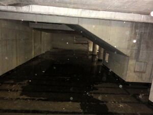 Unterwelt des neuen Bahnhofs.jpg