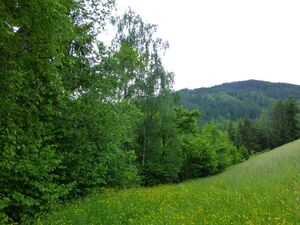 7. Juni 2013.jpg