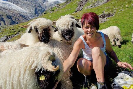 Aufgetischt am Großglockner 03.jpg