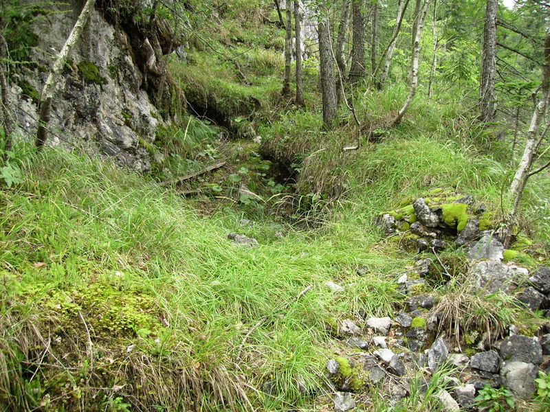 Datei:Burg Saaleck Mauerreste.jpg