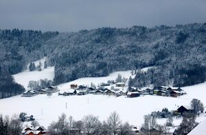 Leithensiedlung im Winter a.jpg