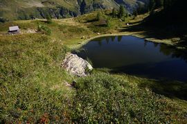 Gralatisee 32910 2016-08-25.jpg