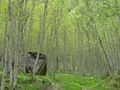 Vorschaubild der Version vom 22:48, 12. Mai 2011