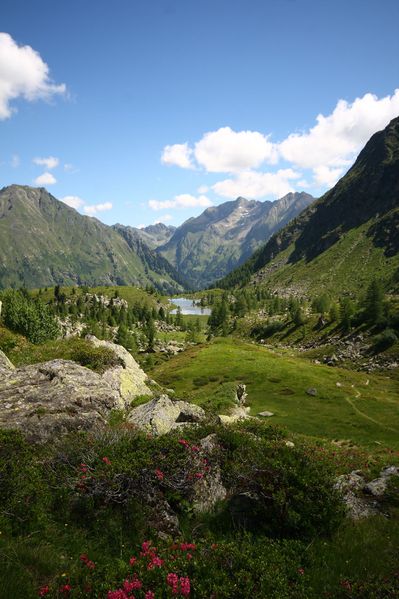 Datei:Lacken weißpriach 29512 2016-07-10.jpg