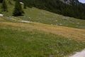 Lantschfeldtal-0111-2022-07-14.jpg