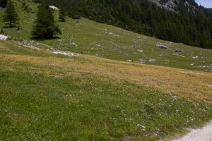 Lantschfeldtal-0111-2022-07-14.jpg